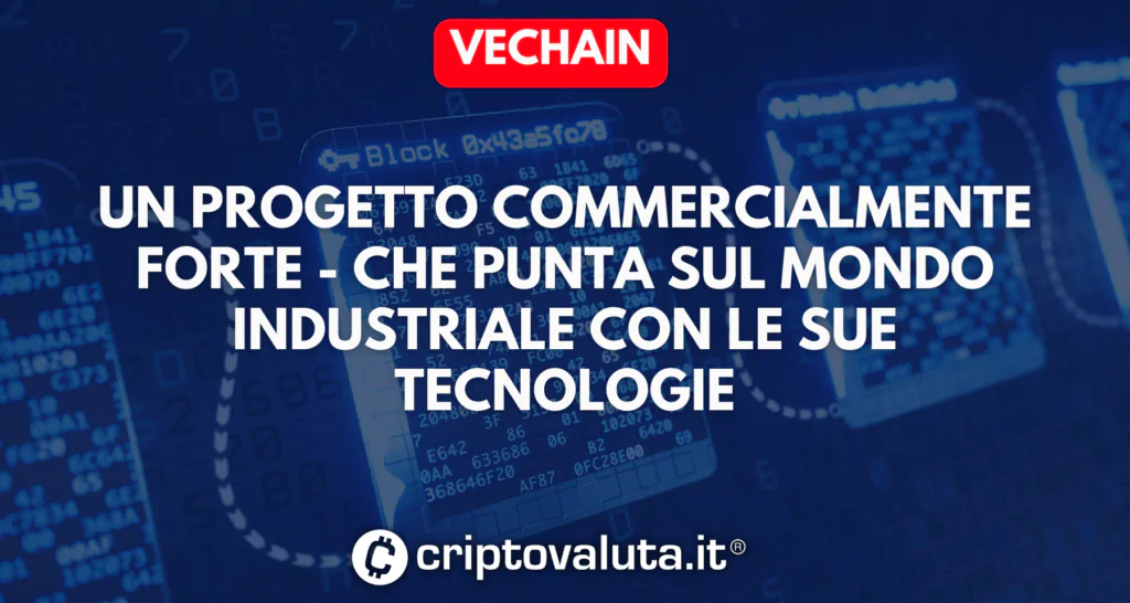 Vechain guida analisi