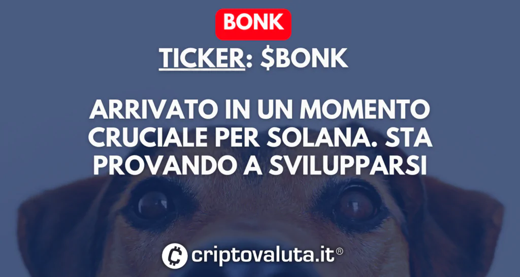 Scheda su Bonk - analisi