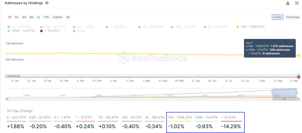 Ethereum Addresses by Holdings