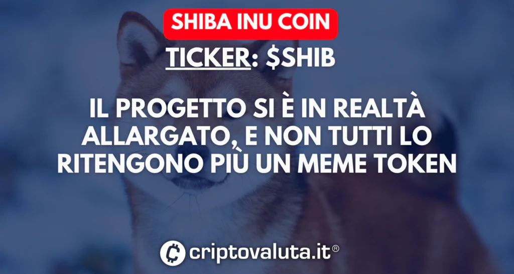 Scheda Shiba Inu Coin