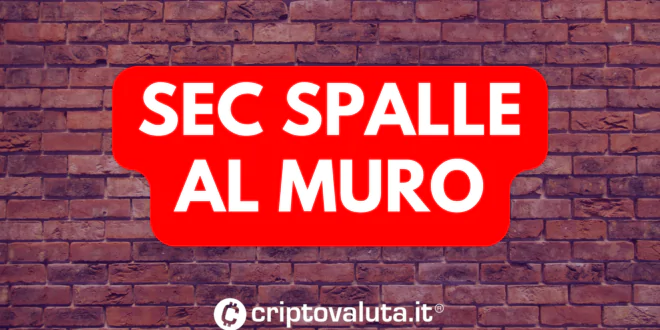 SEC SPALLE MURO