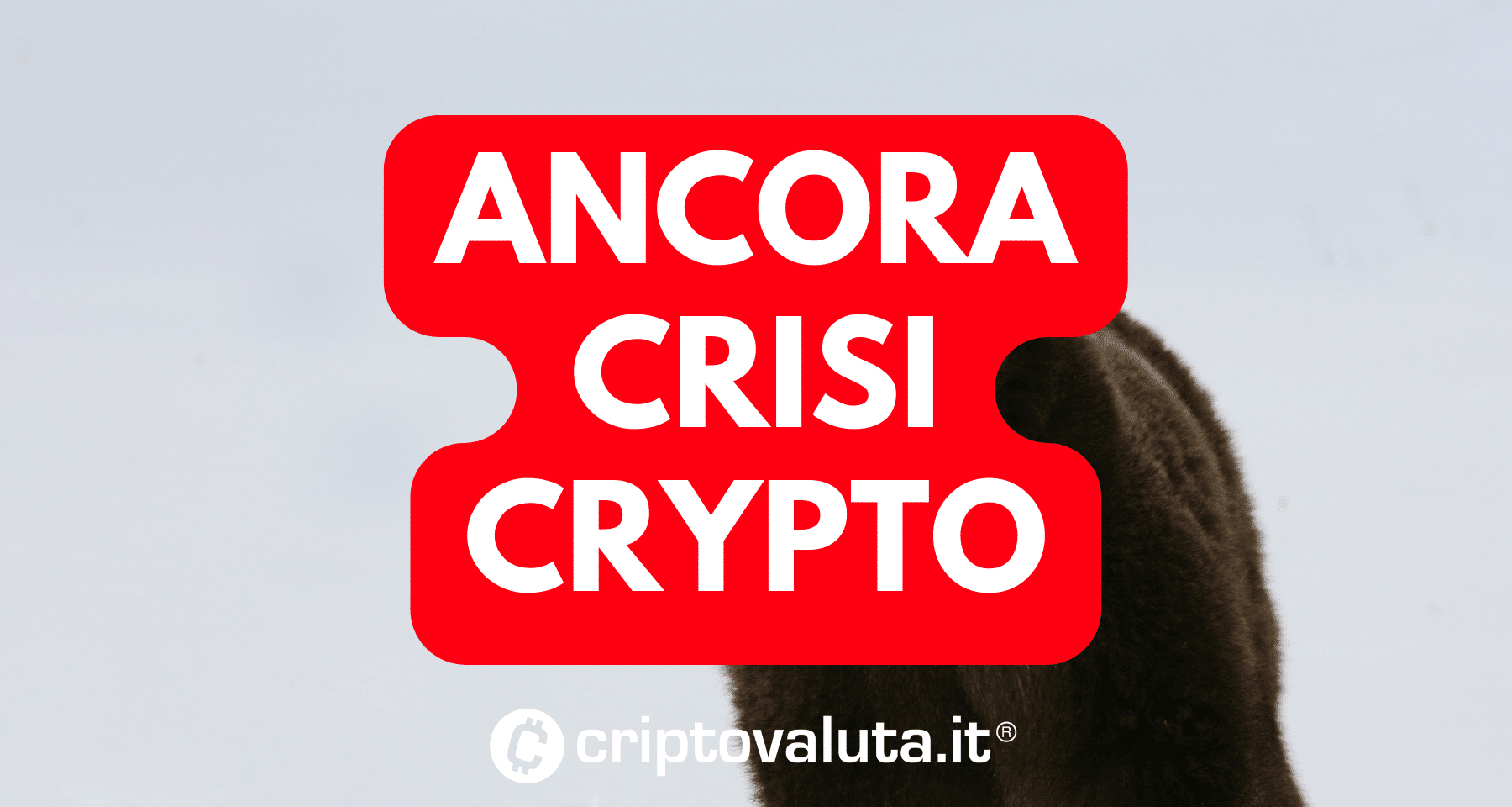 Crypto news: è ancora crisi. Importante progetto LICENZIA