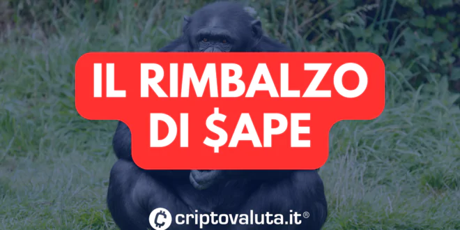 Ape rimbalza