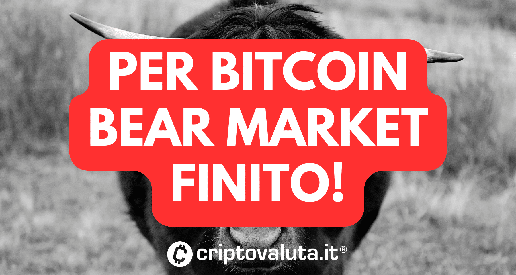 Bear market Bitcoin e crypto FINITO | Lo dice Morgan Stanley