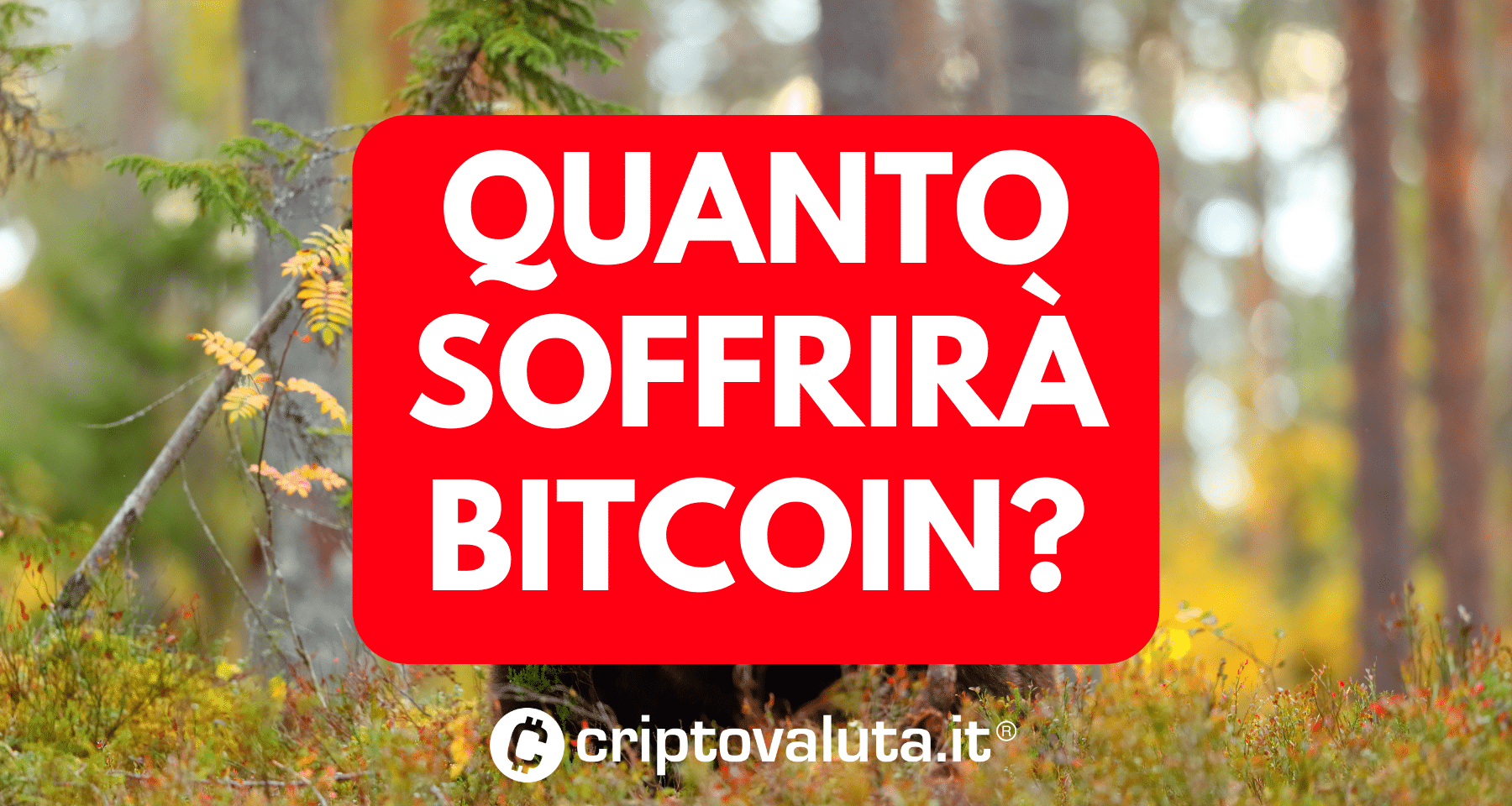 Bitcoin: dati dai mercati spingono il ribasso. Che succede?