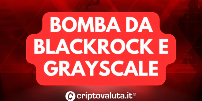 BOMBA GRAYSCALE