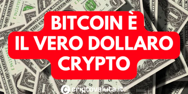 Bitcoin vero dollaro