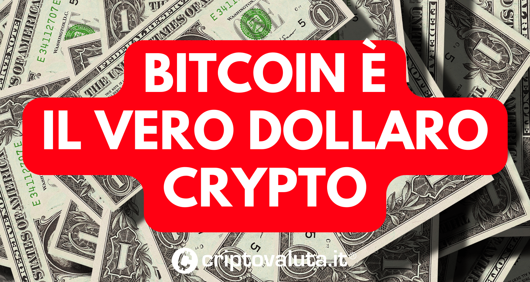 Bitcoin è il dollaro crypto | Il panico favorisce BTC! - Criptovaluta.it®
