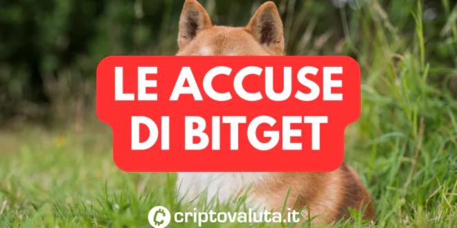 ACCUSE BITGET