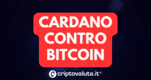 CARDANO CONTRO BITCOIN