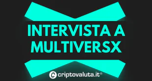 MultiversX Intervista