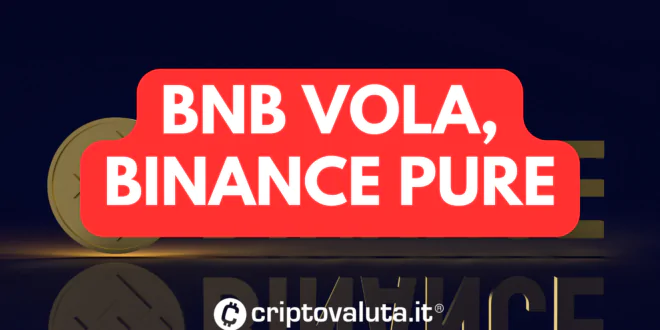 BNB VOLA BINANCE