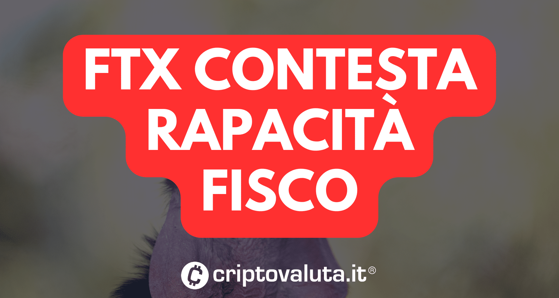 Crypto news: FTX contesta fisco USA: "Richiesta assurda di 24 miliardi"