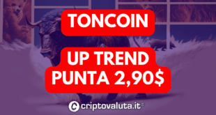 TONCOIN (TON)