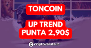 TONCOIN (TON)