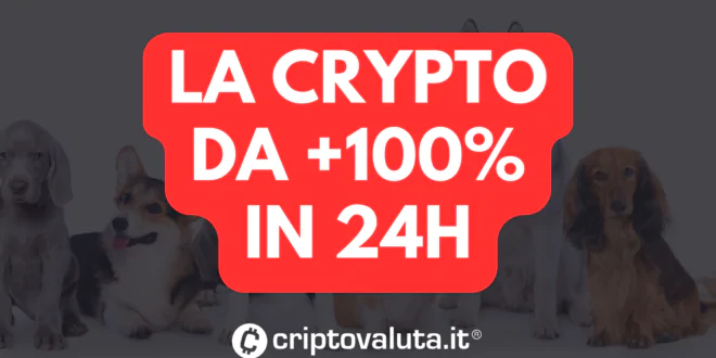 CRYPTO 100%