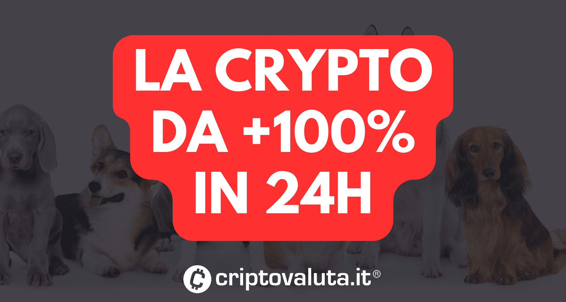 La crypto da +100% in 24 ore | Ecosistema Solana VOLA - Criptovaluta.it®