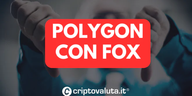 POLYGON FOX