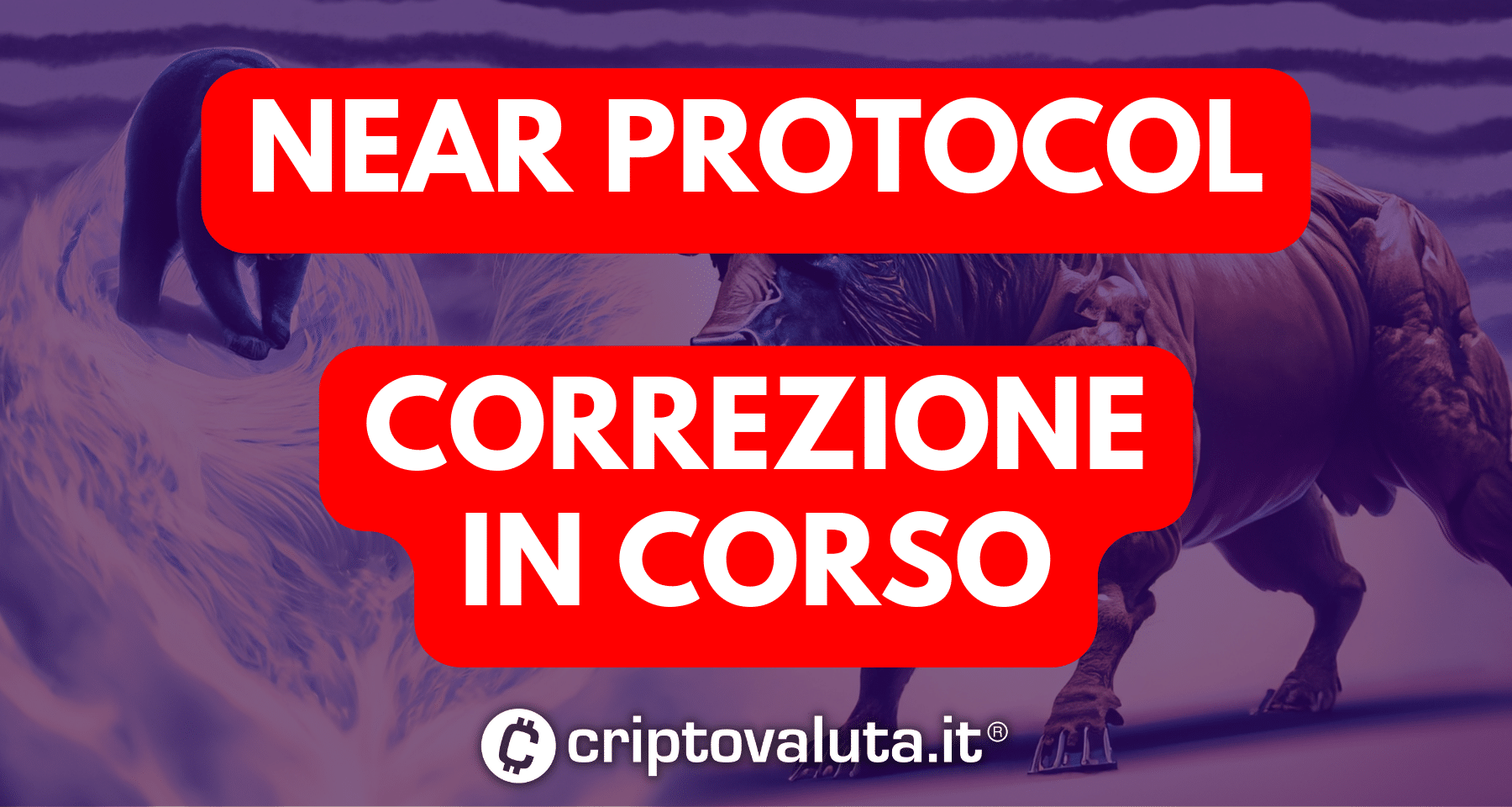 Near Protocol: il 2024 inizia in calo | Analisi e primi obiettivi - cosa succede?