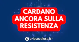 CARDANO