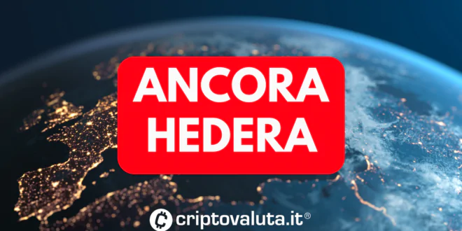 HEDERA