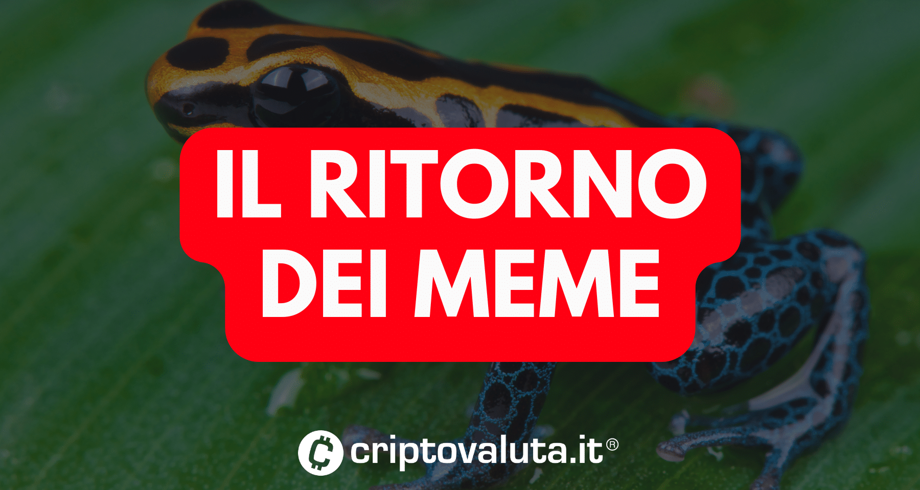 Crypto: dominano i meme | Boom per Pepe e Bonk