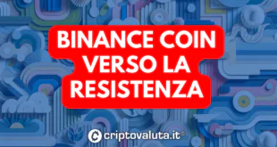 binance coin
