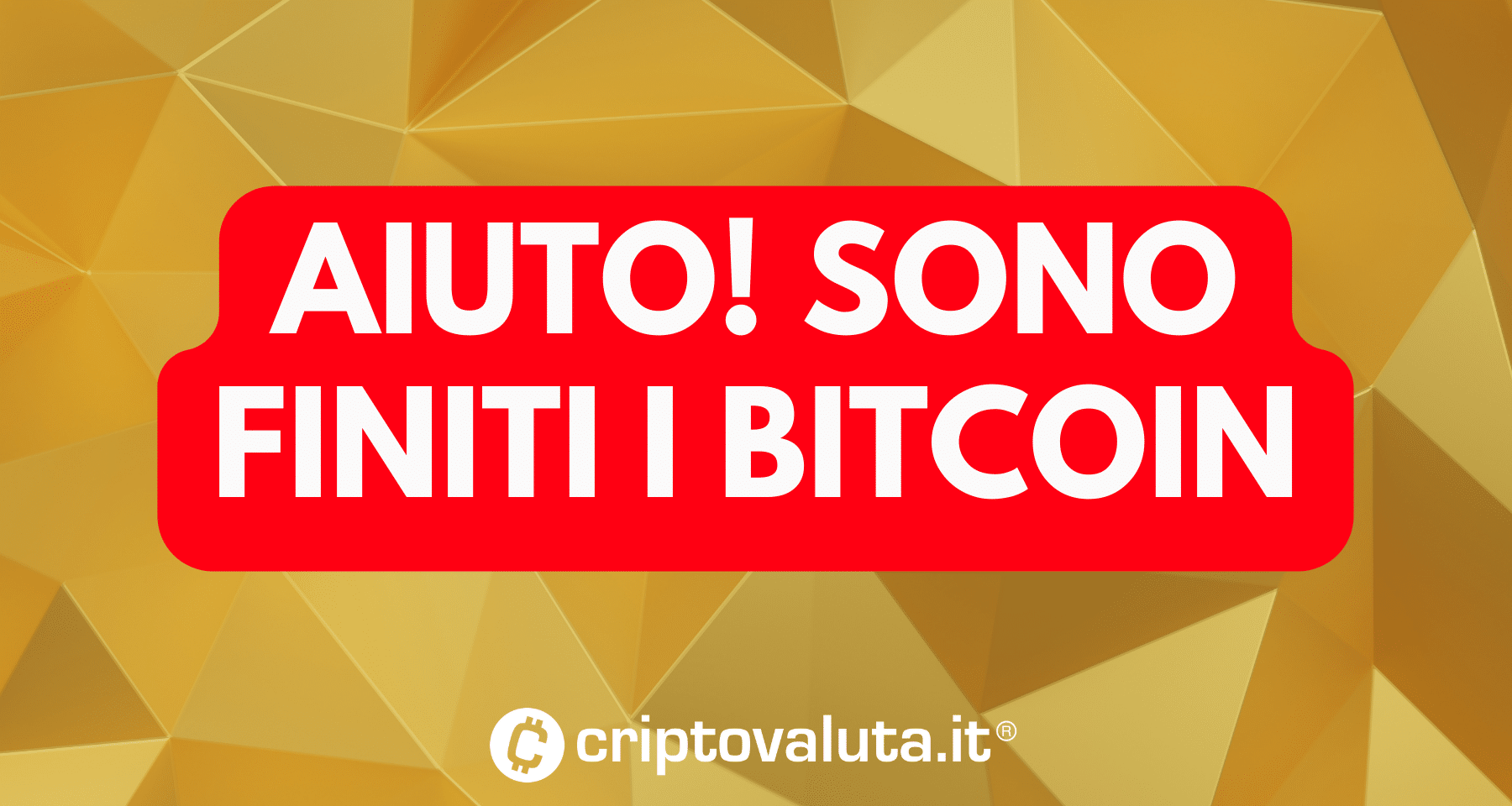 Aiuto, sono finiti i Bitcoin | Ma è vero? Tutti i dati