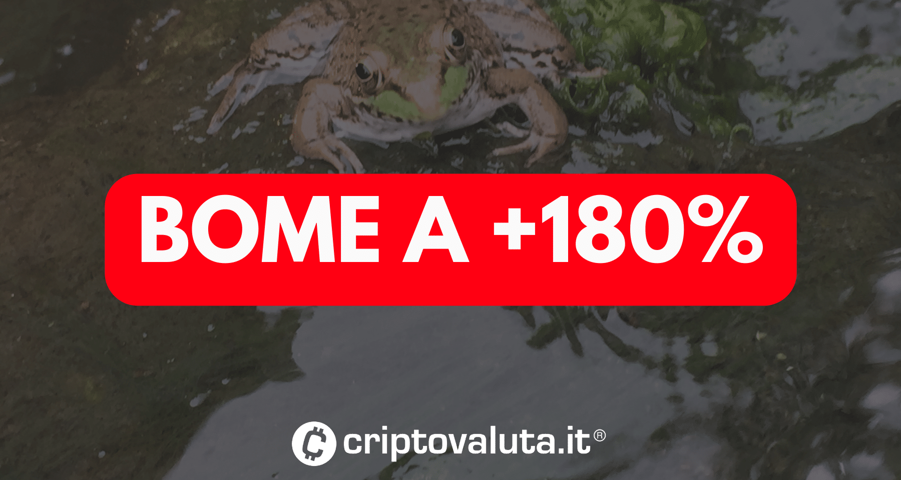 BOME: altro boom meme su Solana | Binance quoterà futures