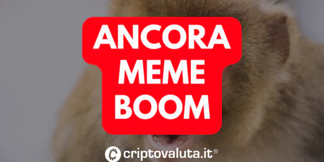 ANCORA MEME BOOM