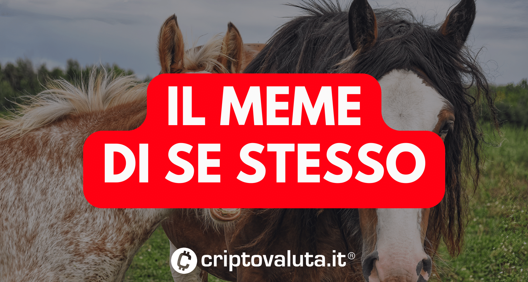 La crypto meme che DISTRUGGE milioni con un click. L'assurdo caso su Solana.