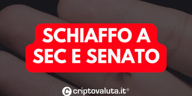 SCHIAFFO SEC SENATO