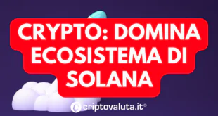 CRYPTO DOMINA SOLANA