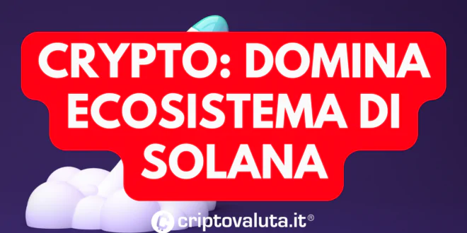 CRYPTO DOMINA SOLANA