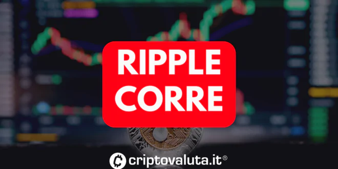 CORSA RIPPLE