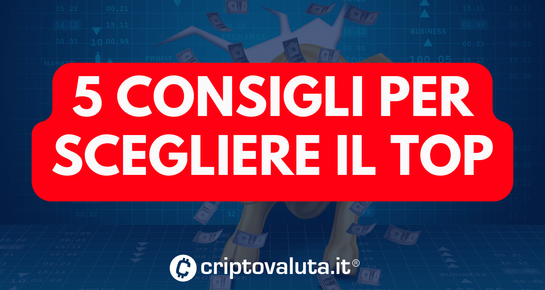 Guadagni facili su crypto e Bitcoin? 5 CONSIGLI per SCEGLIERE IL MEGLIO e NON perdere tutto