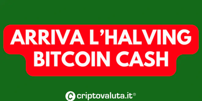 Bitcoin Cash halving