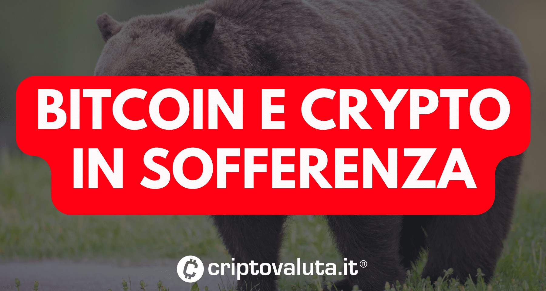 Bitcoin e crypto: crollo nella notte. -5% in pochi minuti per il top del mercato. E ora che succede?