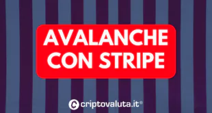 AVALANCHE STRIPE