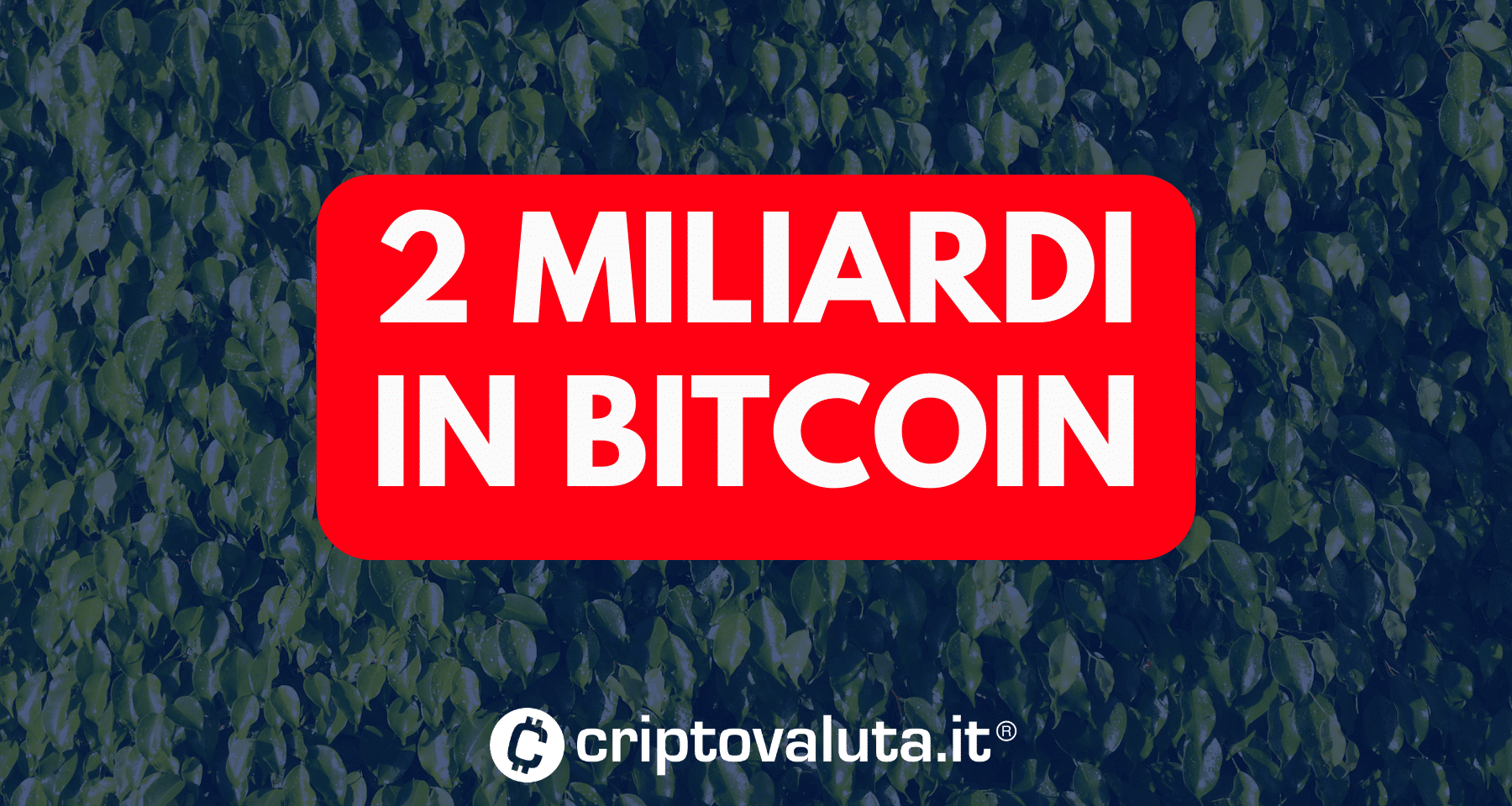 FONDO HEDGE investe 2 miliardi in Bitcoin. Tutti i numeri del PIÙ GRANDE successo di sempre a Wall Street