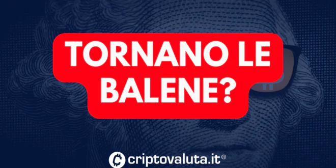 TORNANO BALENE