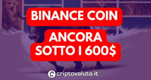 BINANCE COIN - $BNB