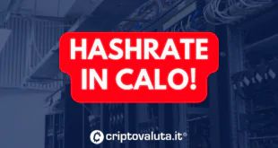 HASHRATE CALO