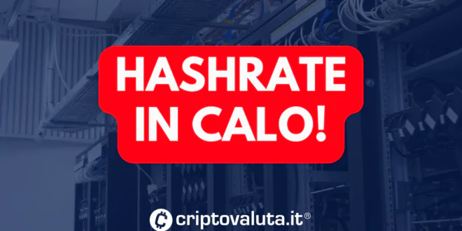 HASHRATE CALO