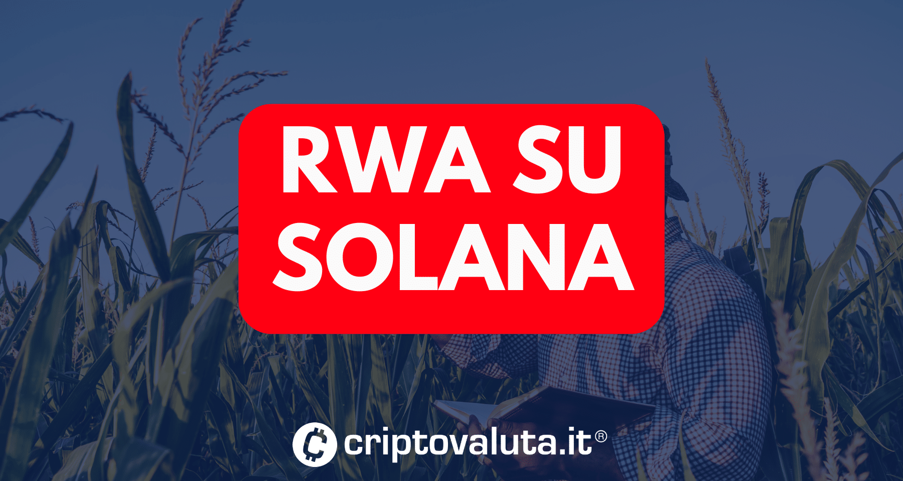 9 semplici modi per siti di scommesse sportive in criptovaluta Solana senza nemmeno pensarci