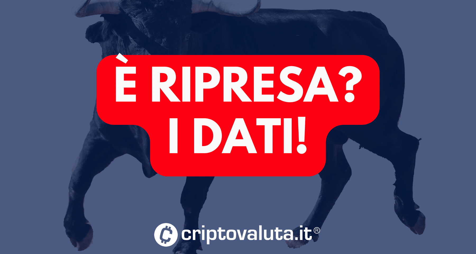 Crypto in RIPRESA: cosa è CAMBIATO nel mercato? Analisi e prospettive MACRO [ANALISI]