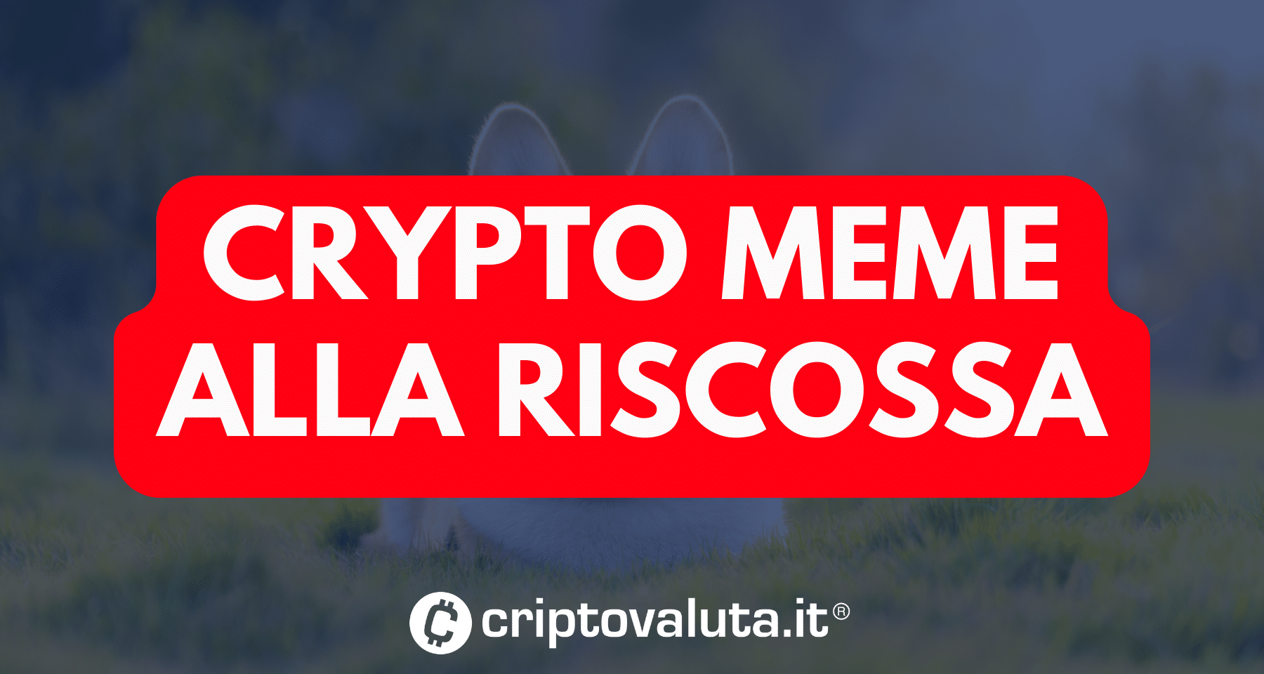 Crypto: è ancora DOMINIO dei meme. VOLANO WIF, BOME e anche FLOKI. E c'entra... Wall Street!