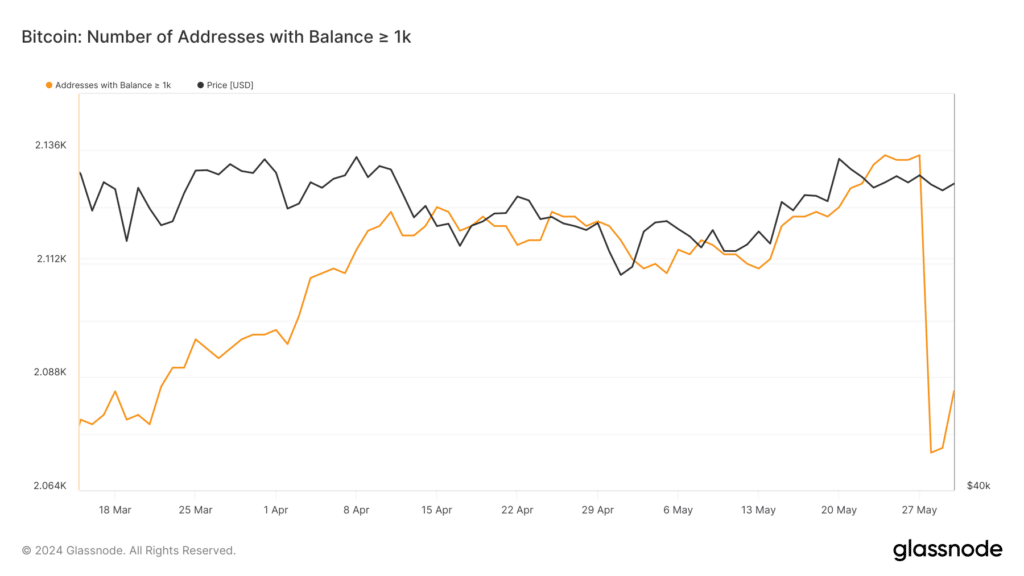 Numero wallet whales bitcoin