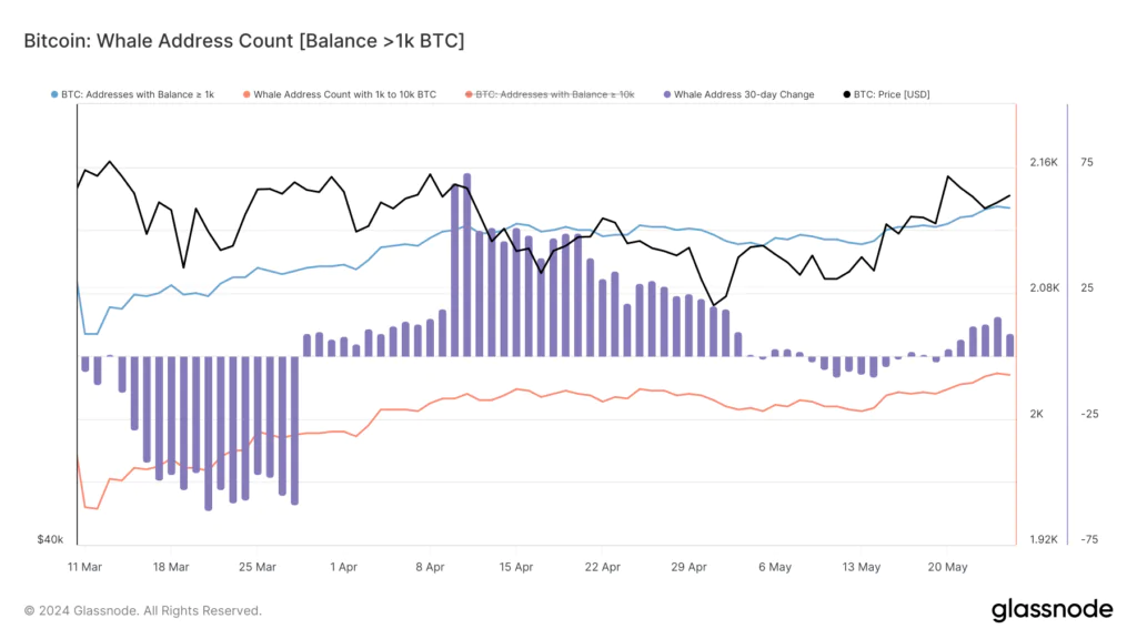dato glassnode