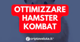 OTTIMIZZARE HAMSTER KOMBAT